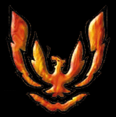 Logo of the Firebird.gif (2506 bytes)